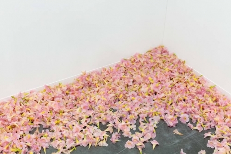 Allora & Calzadilla, Graft (Tabebuia Rosea), 2021 , Lisson Gallery