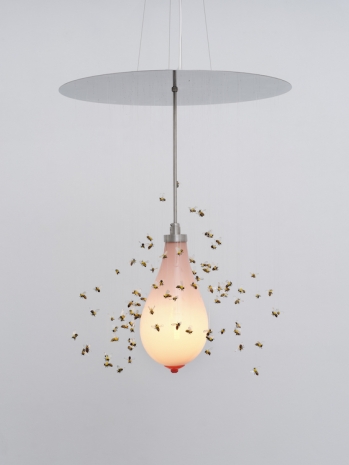 Laure Prouvost , Hive seen you, 2025 , Lisson Gallery