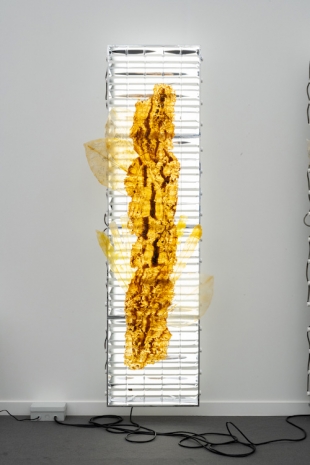 Chloé Delarue, TAFAA - UNNECESSARY DOUBT (SNITCH III), 2024, galerie frank elbaz