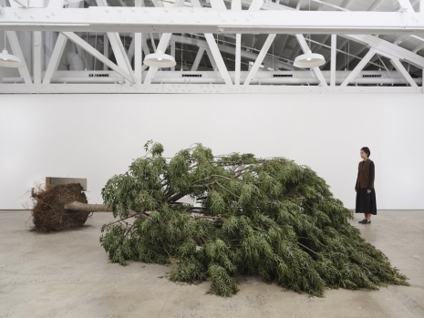 Robert Smithson , Mirror Displacement: Indoors, 1969 , Marian Goodman Gallery