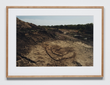 Ana Mendieta, Untitled: Silueta Series, 1978 , Marian Goodman Gallery
