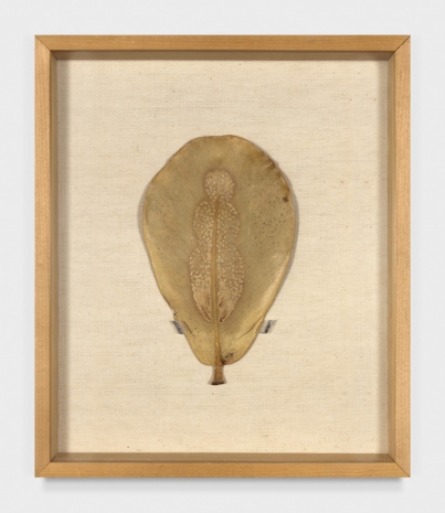 Ana Mendieta, Untitled, c. 1982 , Marian Goodman Gallery