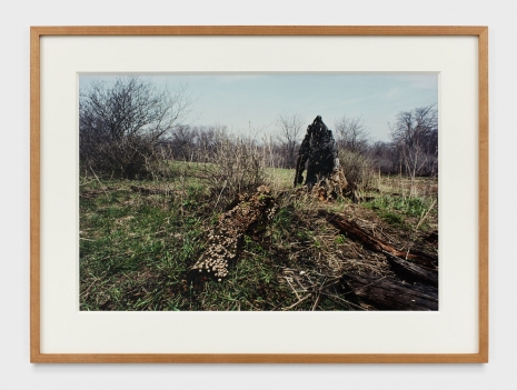 Ana Mendieta, Untitled: Silueta Series, 1978 , Marian Goodman Gallery