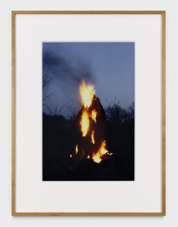 Ana Mendieta, Untitled: Silueta Series, 1978 , Marian Goodman Gallery