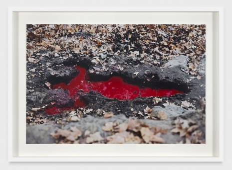 Ana Mendieta, Silueta Sangrienta, 1975 , Marian Goodman Gallery