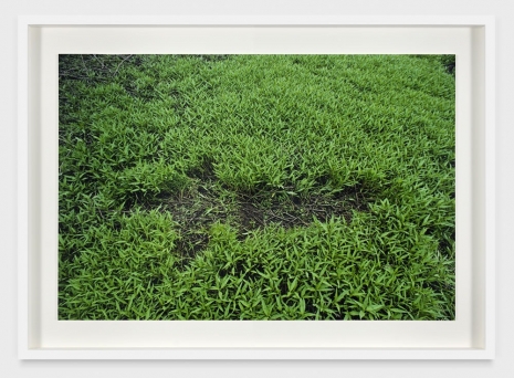 Ana Mendieta, Untitled: Silueta Series, 1979 , Marian Goodman Gallery