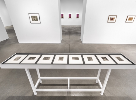 Ana Mendieta, Esculturas Rupestres (The Rupestrian Sculptures), 1983 , Marian Goodman Gallery