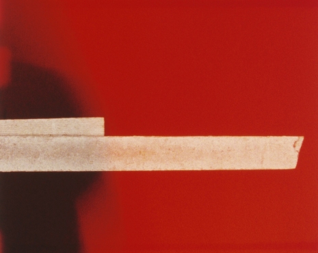 Paul Sietsema, Telegraph, 2012 (STILL) , Marian Goodman Gallery