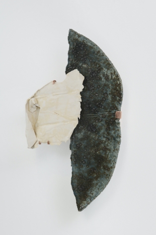 Liz Larner , Softly, 2025 , Anton Kern Gallery