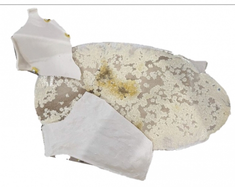 Liz Larner , Inelastic liberty, 2025 , Anton Kern Gallery