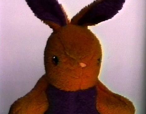 Nayland Blake, Negative Bunny, 1994 , Matthew Marks Gallery