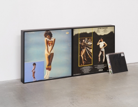 Nayland Blake, Controversy 1972-1977-1982, 1993 , Matthew Marks Gallery