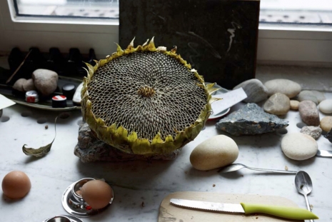 Wolfgang Tillmans, Sunflower Still-life, 2020 , Regen Projects