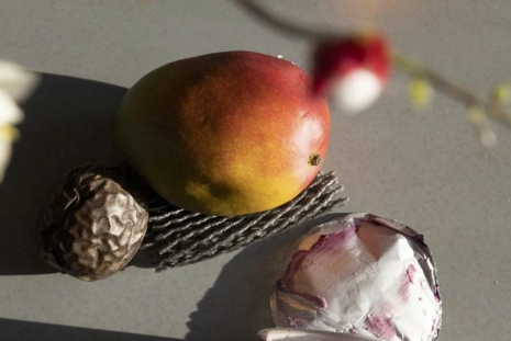 Wolfgang Tillmans, Silvester Still-Life, 2024 , Regen Projects