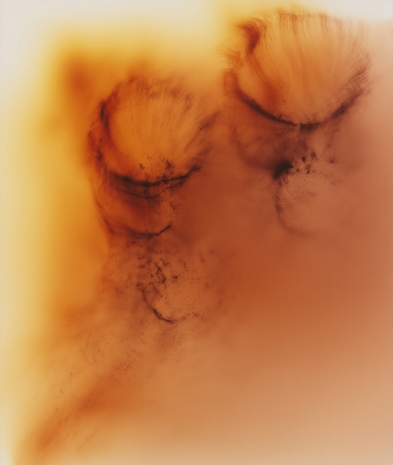 Wolfgang Tillmans, Time Flows All Over 5, 2025 , Regen Projects