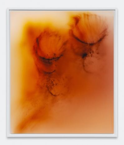 Wolfgang Tillmans, Time Flows All Over 5, 2025 , Regen Projects