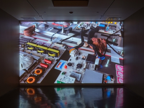 Wolfgang Tillmans, Traveling Camera, 2025 , Regen Projects