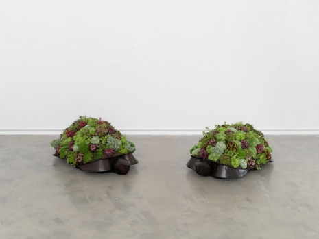 François-Xavier Lalanne, Tortue topiaire III, 2000 & 2003, Galerie Mitterrand