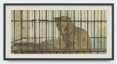 Christopher Culver, Shelter Cat, 2025, Modern Art