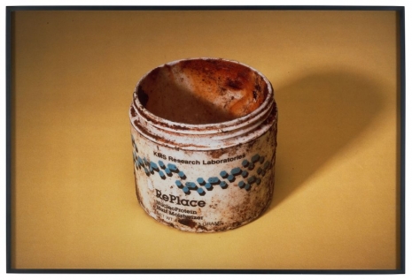 Paul McCarthy , RePlace, 1991 (2002) , NO NAME