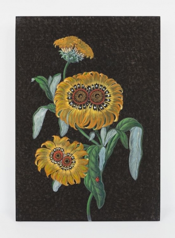 Laurent Grasso, Future Herbarium, , Perrotin