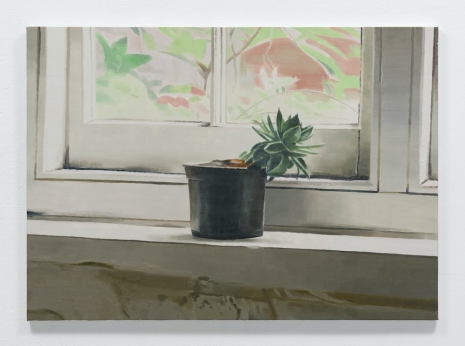 Mike Silva, Studio Plant, 2025 , Anton Kern Gallery