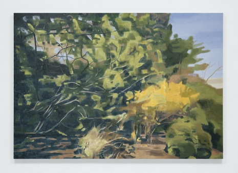 Mike Silva, Landscape (Hyde Park), 2025 , Anton Kern Gallery