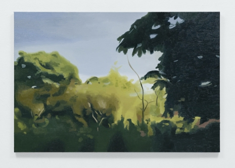 Mike Silva, Hyde Park (March), 2025 , Anton Kern Gallery