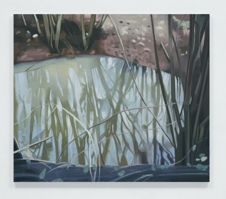 Mike Silva, Reflected Trees, 2025 , Anton Kern Gallery