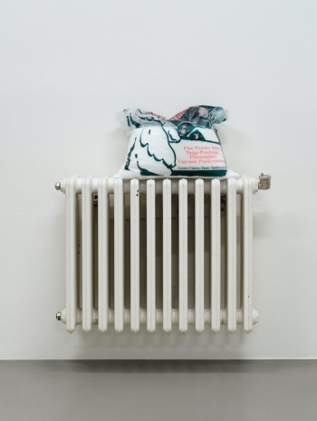 FORT , Einsame Winter, 2025  , Sies + Höke Galerie