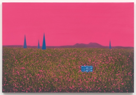 Minju Kang, Hide and seek, 2024 , Sies + Höke Galerie