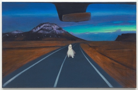 Minju Kang, Alpaca Caution, 2024 , Sies + Höke Galerie