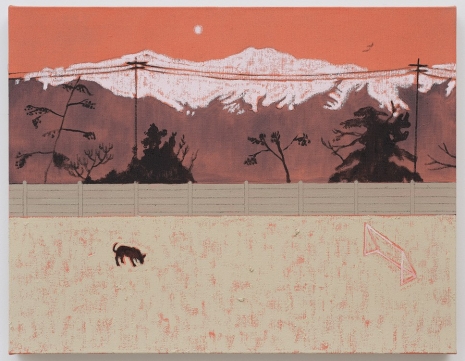 Francisco Rodríguez, Santiago, 2025 , WHITE SPACE