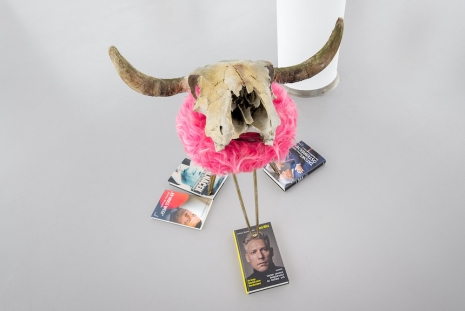 Elke Silvia Krystufek, Der tote Kommanditist DI Ernst Krystufek mehr als 6 ½ Jahre im Firmenbuch, 2025  , Galerie Bernd Kugler