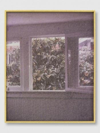 Sam Falls, Untitled (6Untitled (639 Santa Clara Avenue, 90291,Loquats, Window/Wall), 2013, Galerie Eva Presenhuber