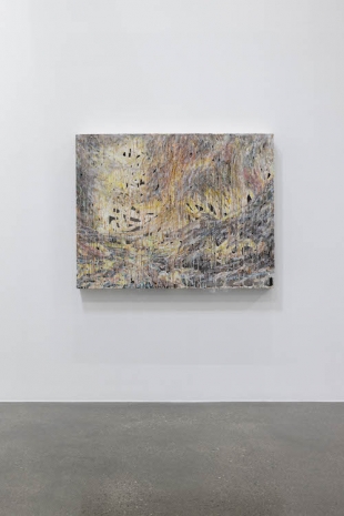 , , , Lawrie Shabibi