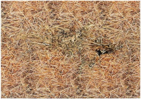 Vera Palme, Rabid Innocence, 2025 , Galerie Buchholz