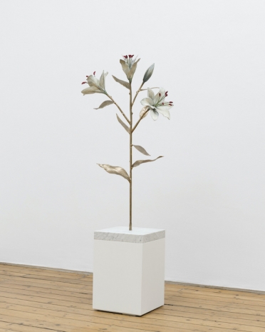 Paloma Proudfoot, Messenger, 2025 , The Approach