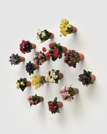 Hans-Peter Feldmann, Blumentöpfe an der Wand , , 303 Gallery