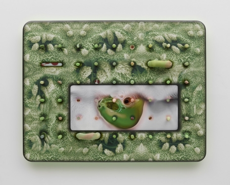 Tishan Hsu, stomata-skin-2, 2025 , Lisson Gallery