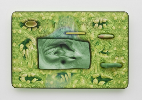 Tishan Hsu, stomata-skin-3, 2025 , Lisson Gallery