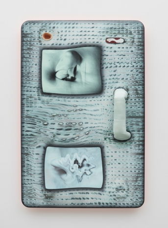 Tishan Hsu, skin-glitch, 2025 , Lisson Gallery