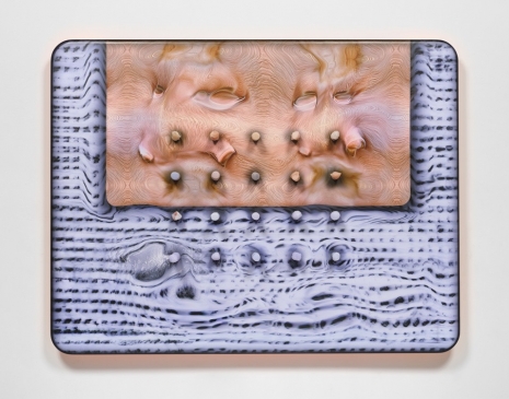 Tishan Hsu, skin-fur-mesh-blue, 2025 , Lisson Gallery