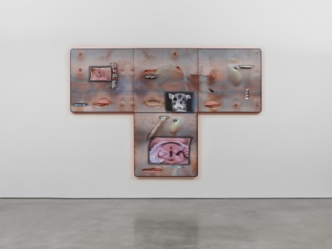 Tishan Hsu, skin-screen: emergence (quadriptych), 2023 , Lisson Gallery
