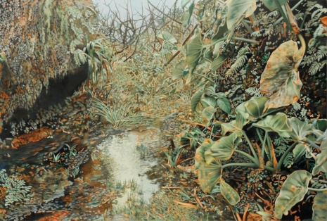 Franz Gertsch, Soufrière (Guadeloupe), 2012 - 2013 , Hauser & Wirth