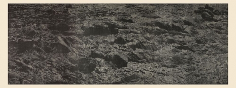 Franz Gertsch, Schwarzwasser II, 1993-1994 , Hauser & Wirth