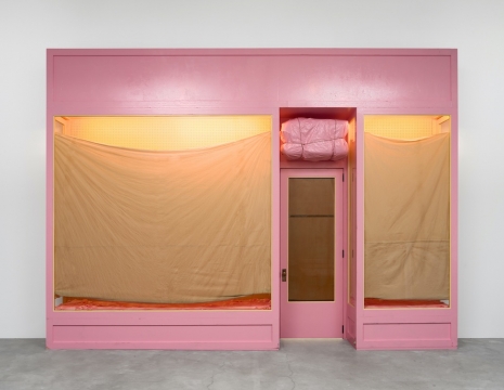 Alex Da Corte, Pink Store Front, 2025 , Matthew Marks Gallery