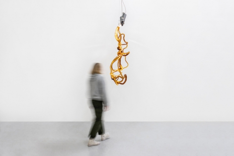 Allora & Calzadilla, Lightbound, 2025 , Galerie Chantal Crousel