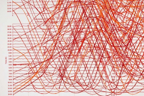 Allora & Calzadilla, Pulse, 2025, Galerie Chantal Crousel