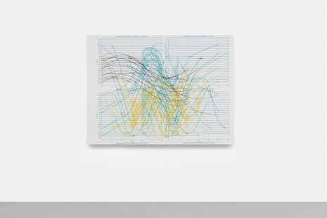 Allora & Calzadilla, Pulse, 2025, Galerie Chantal Crousel